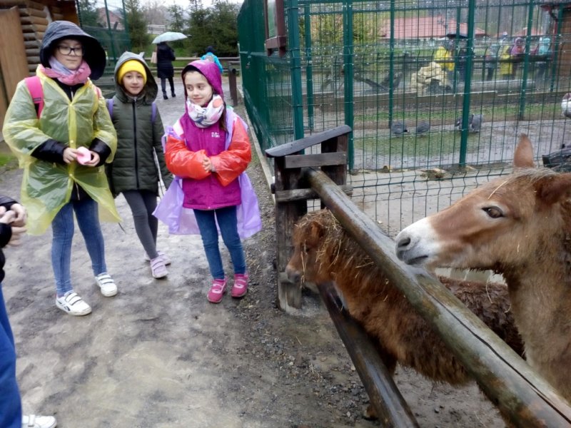 Wycieczka do Jura Parku w Bałtowie